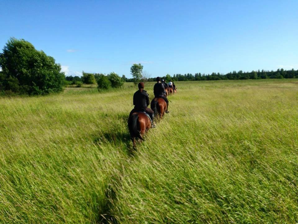 Hotel Sassi Talu Horsefarm Pärnumaa Exteriér fotografie