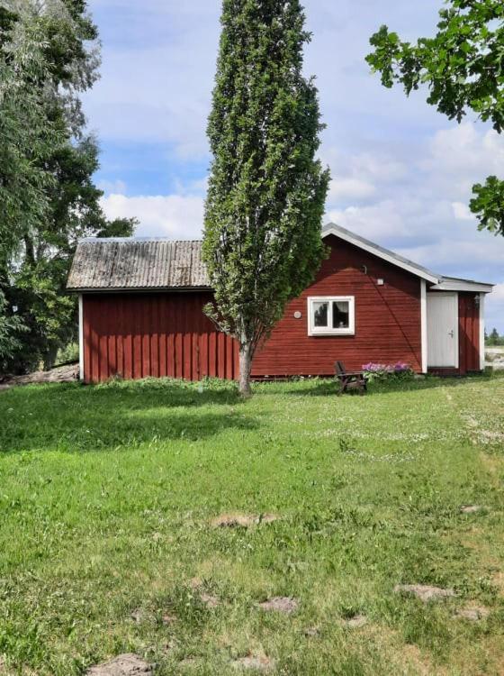 Hotel Sassi Talu Horsefarm Pärnumaa Exteriér fotografie